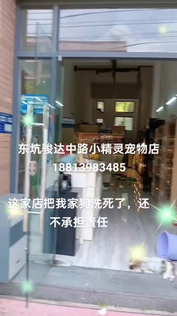 广东东莞。女子称自己送狗狗去宠物店洗澡，洗澡过程中狗被店家工作人员按死222。